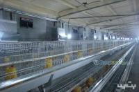 供應(yīng)育雛升溫鍋爐 農(nóng)副產(chǎn)品領(lǐng)域的可靠選擇